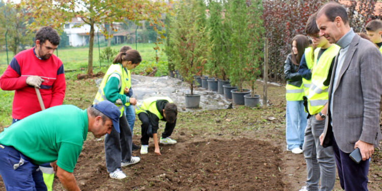 Vila Verde lança sementes