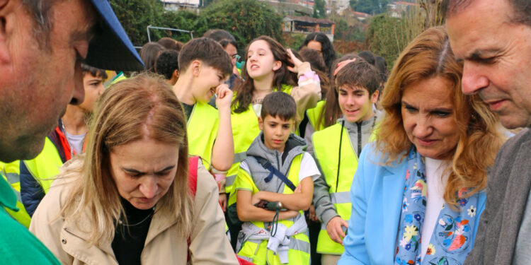 Vila Verde lança sementes