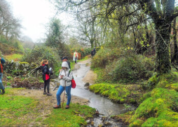 VILA VERDE: Preservar a natureza