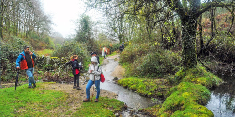 VILA VERDE: Preservar a natureza