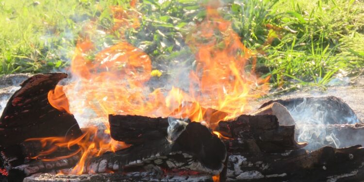 Magusto em Arnoso Santa Eulália