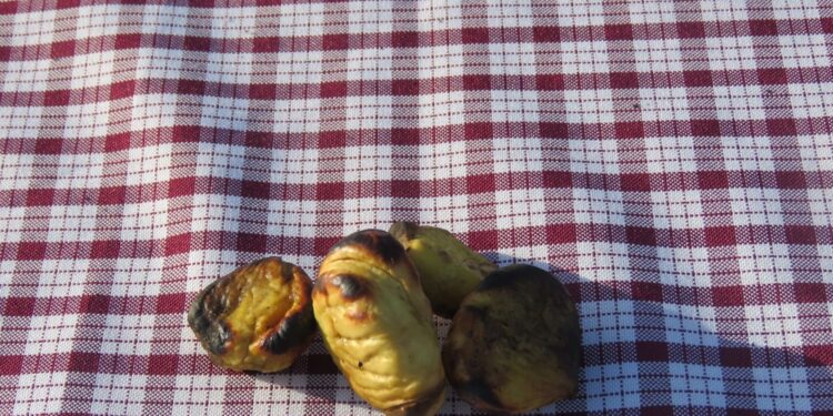 Magusto em Arnoso Santa Eulália