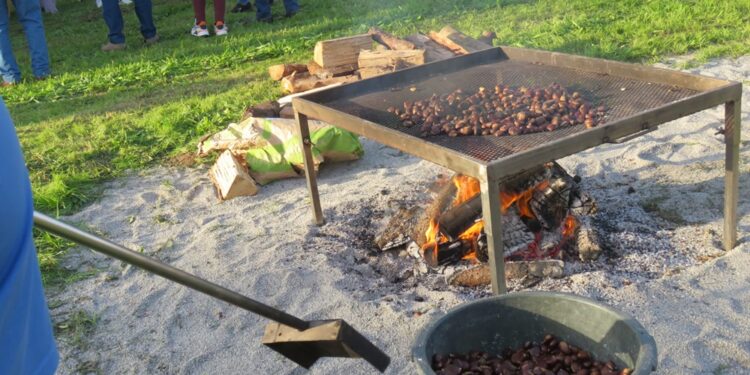 Magusto em Arnoso Santa Eulália