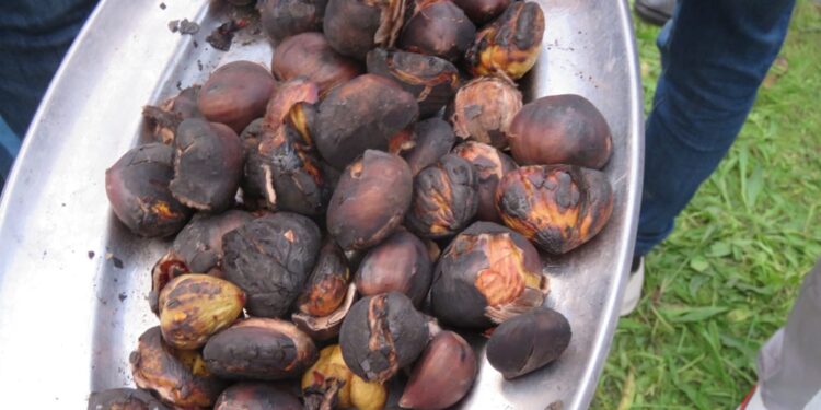 Magusto em Arnoso Santa Eulália