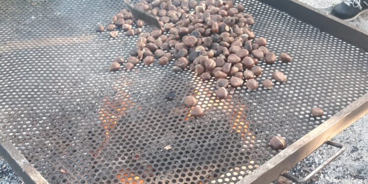 Magusto em Arnoso Santa Eulália