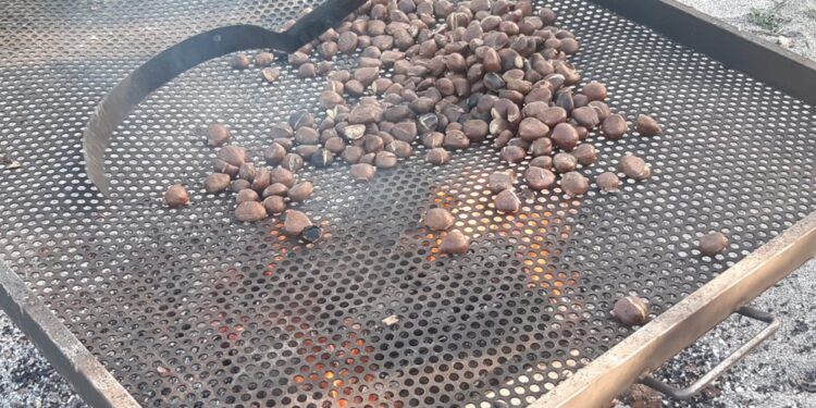 Magusto em Arnoso Santa Eulália