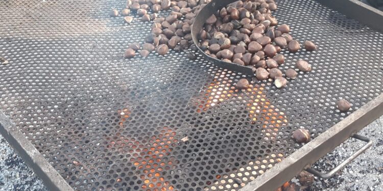 Magusto em Arnoso Santa Eulália