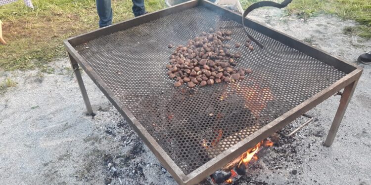 Magusto em Arnoso Santa Eulália