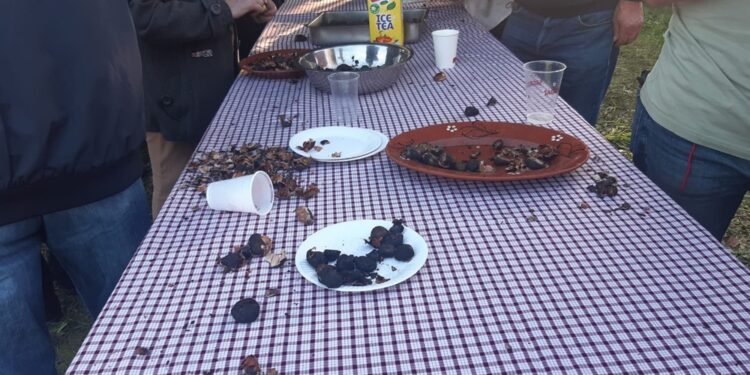 Magusto em Arnoso Santa Eulália