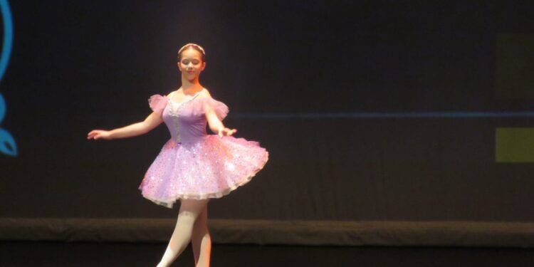 Entrega de Diplomas de Mérito