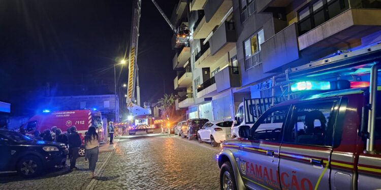 Idosa deixou de contactar com familiares