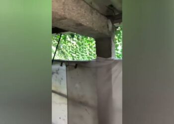 Os políticos e as Instituições Solidárias