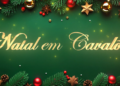 CAVALÕES: Árvores de Natal Associações