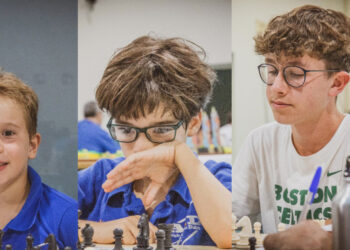 Xadrez em várias vertentes