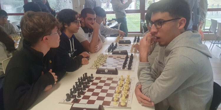 Xadrez em várias vertentes