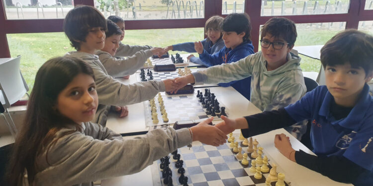 Xadrez em várias vertentes