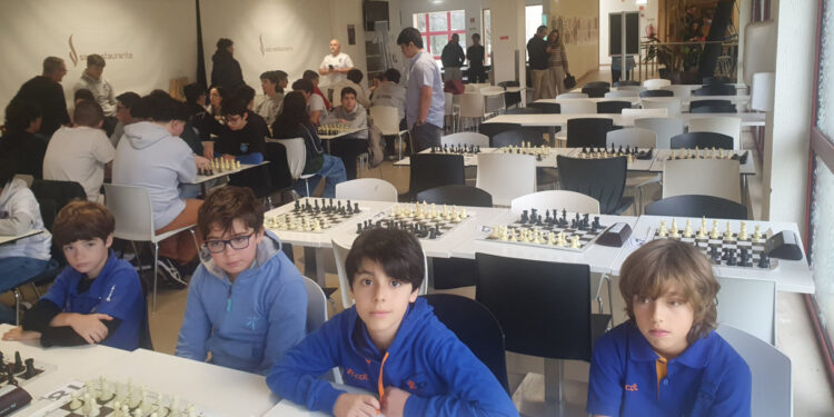 Xadrez em várias vertentes