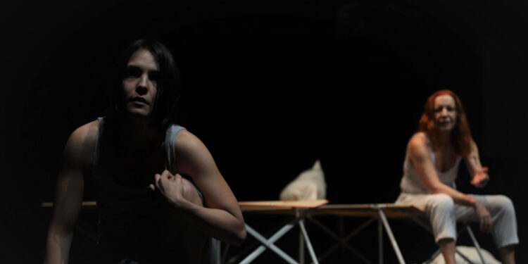 Casa das Artes de Famalicão