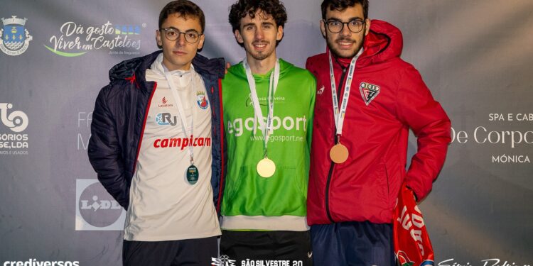 São Silvestre de Vermoim