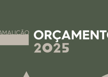 Orçamento de 219 milhões de euros para 2025