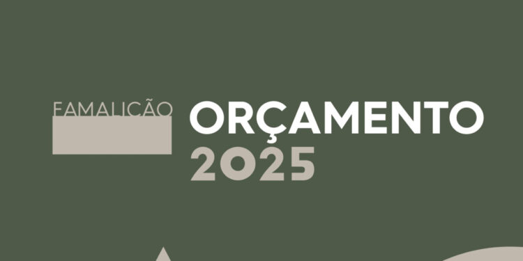 Orçamento de 219 milhões de euros para 2025