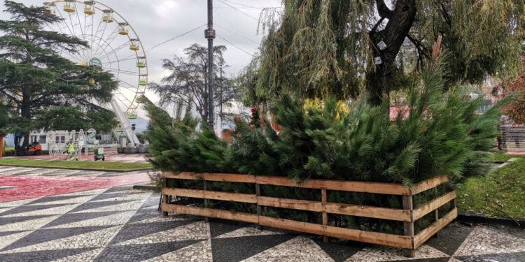 Pinheirinhos de Natal