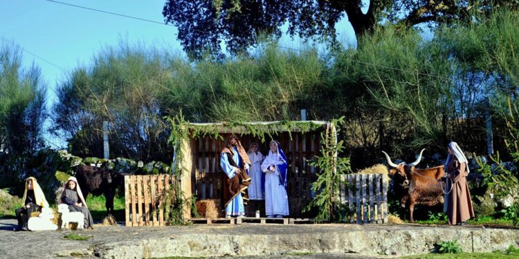 Animação Natalícia