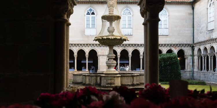 Dias da Camélia em Santo Tirso