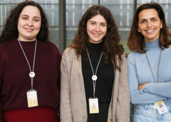 O Cérebro e a Uminho