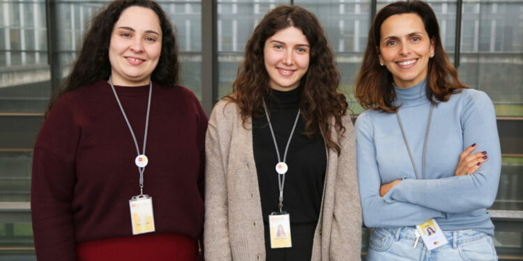 O Cérebro e a Uminho