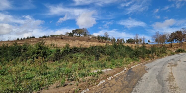 Joane acorda enlameada