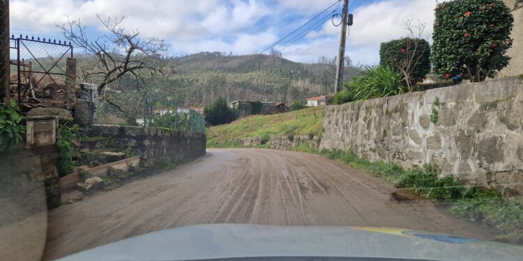 Joane acorda enlameada