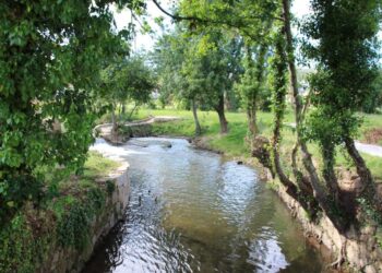 Santo Tirso tutela Corredor do Rio Leça