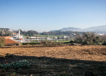 Homenagem a Salgueiro Maia