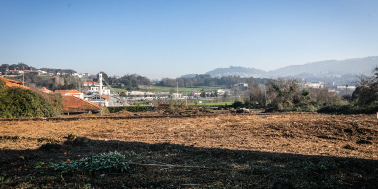 Homenagem a Salgueiro Maia