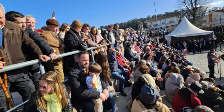 Feira das Candeias ao Domingo