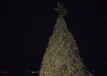 Carnaval com desfile em Fradelos