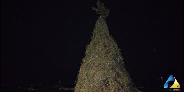 Carnaval com desfile em Fradelos