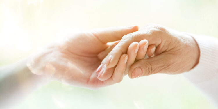 Capacitar 300 séniores