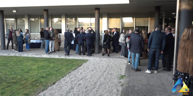 Didáxis comemora 50 anos