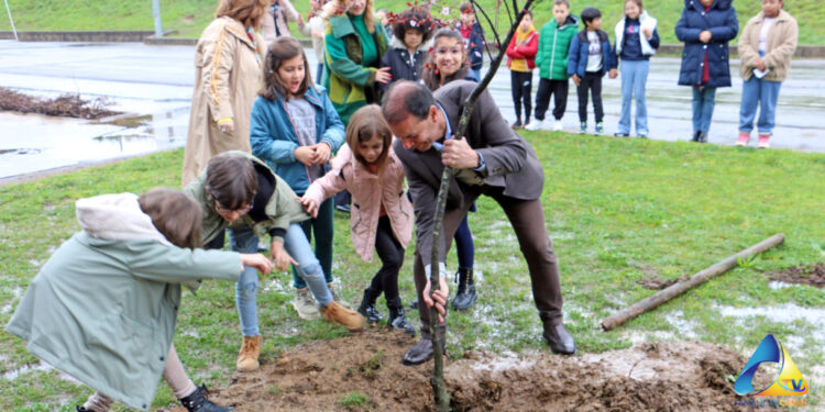 A Primavera em Vila Verde