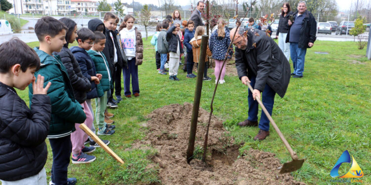 A Primavera em Vila Verde