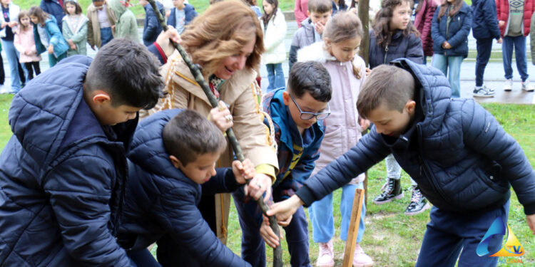 A Primavera em Vila Verde
