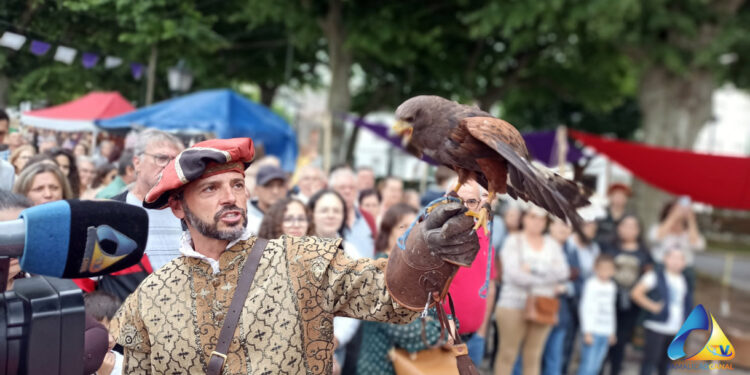 Sá de Miranda está de Volta