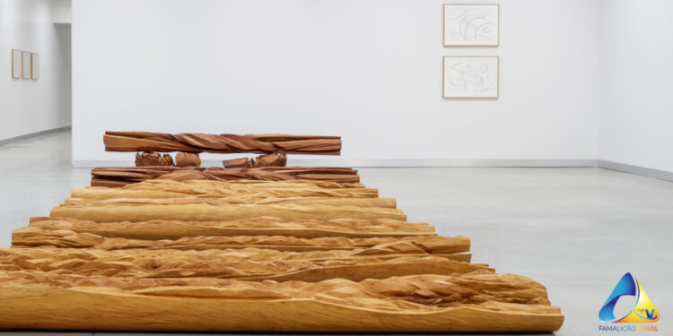 Alberto Carneiro na Unesco