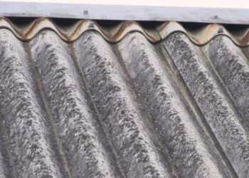 Amianto preocupa PAN de Famalicão