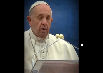 Papa Francisco «O percurso»