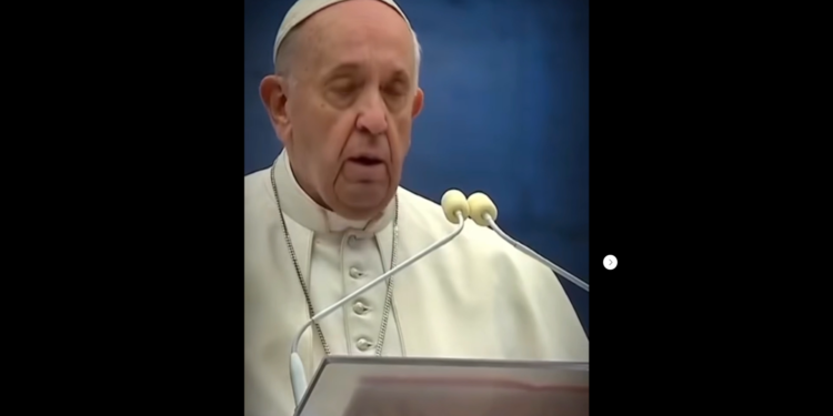 Papa Francisco «O percurso»