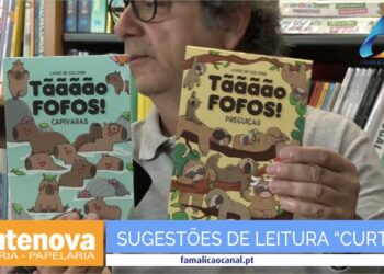 FONTENOVA: Sugestões de Leitura – 28 MAIO 2025