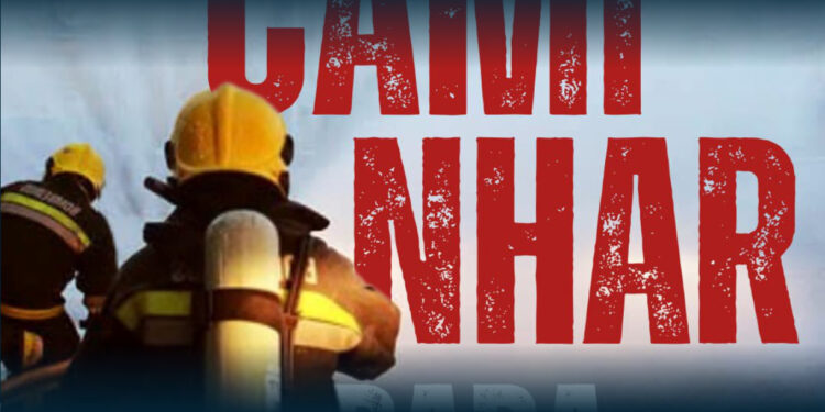 RIBA DE AVE: Ajudar os Bombeiros Voluntários